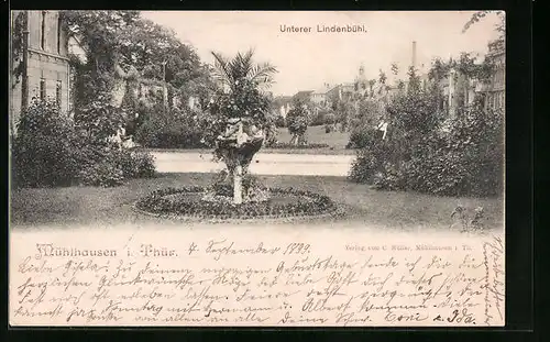 AK Mühlhausen /Th., Unterer Lindenbühl