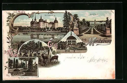 Lithographie Moritzburg, Leuchtturm, Kgl. Jagdschloss, Kgl. Hofgarten