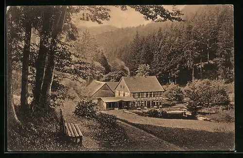 AK Hohegeiss /Oberharz, Gasthaus Wolfsbachmühle