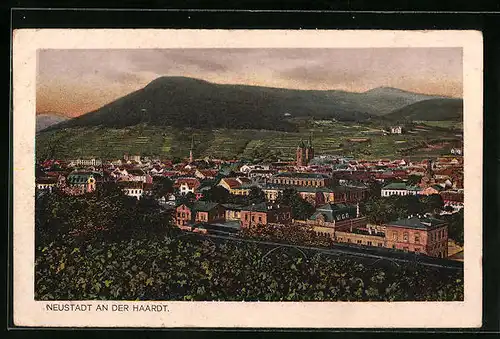 AK Neustadt an der Haardt, Ortsansicht aus der Vogelschau
