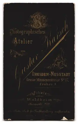 Fotografie Gustav Karsch, Dresden-Neustadt, Gr. Meissenerstr. 17, Portrait junge Frau im prachtvollen Kleid