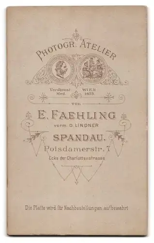 Fotografie E. Faehling, Berlin-Spandau, Potsdamerstr. 7, Portrait bildschönes Fräulein im prachtvollen Kleid