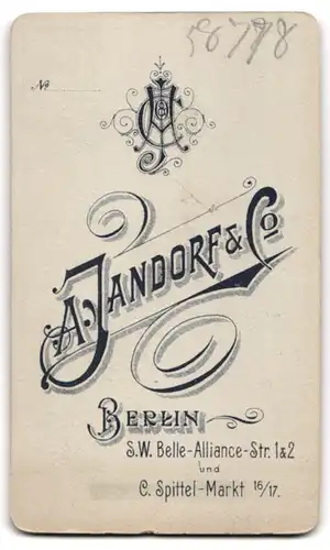 Fotografie A. Jandorf & Co., Berlin, Spittelmarkt 16 /17, Portrait frecher Bube im Matrosenanzug