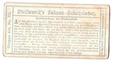 Sammelbild Stollwerck Schokolade, Gruppe 458, No. III., Shetland-Pony als Kinderpferd