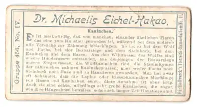 Sammelbild Stollwerck Schokolade, Gruppe 456, No. IV., Kaninchen