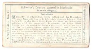 Sammelbild Stollwerck Schokolade, Gruppe 456, No. II., Tanzmäuse