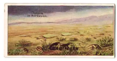 Sammelbild Gartmann Schokolade, Serie 506, Bild 5, Typische Landschaften, Tundra in Nordasien