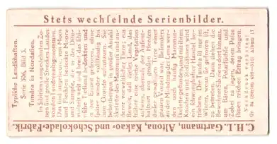 Sammelbild Gartmann Schokolade, Serie 506, Bild 5, Typische Landschaften, Tundra in Nordasien