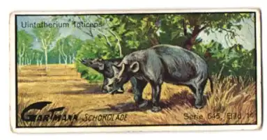 Sammelbild Gartmann Schokolade, Serie 645, Bild 1, Vorsintflutliche Tiere, Uintatherium laticeps