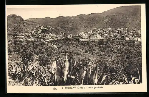 AK Moulay Idriss, Vue gènèrale