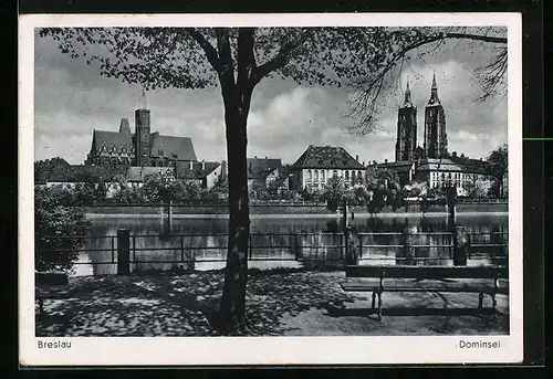 AK Breslau, Dominsel