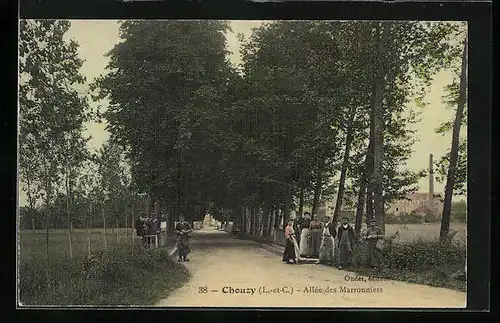 AK Chouzy, Allèe des Marronniers