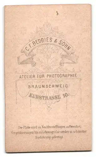 Fotografie C. F. Beddies & Sohn, Braunschweig, Kuhstr. 10, Portrait bildschönes Fräulein mit Haar- und Kragenbrosche