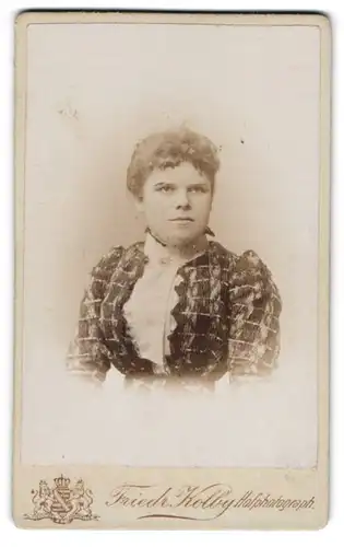 Fotografie Friedr. Kolby, Plauen i. V., Rädelstr. 1, Portrait bildschönes Fräulein in prachtvoller Bluse