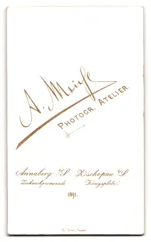 Fotografie A. Meiche, Annaberg i. S., Zickzackpromenade, Portrait blondes Fräulein mit eleganter Halskette