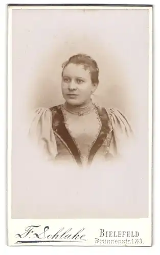 Fotografie F. Schlake, Bielefeld, Brunnenstr. 1&3, Portrait bildschönes Fräulein in prachtvoller Bluse