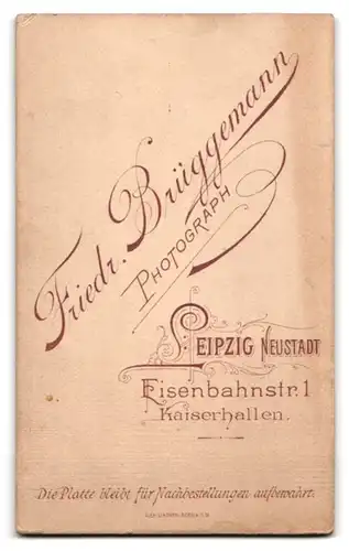 Fotografie Friedr. Brüggemann, Leipzig, Eisenbahnstr. 1, Portrait frecher Bube im Matrosenanzug mit Reifen in der Hand