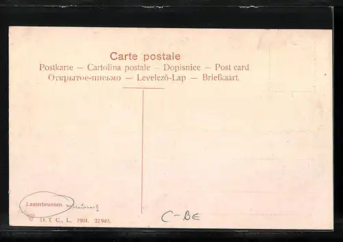 AK Lauterbrunnen, Talpanorama, Blick zum Wasserfall