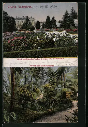 AK Eisgrub in Südmähren, Fürst. Liechtensteinisches Schloss mit Palmenhaus, Inneres des Palmenhauses