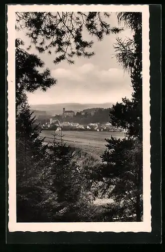 AK Schwarzenberg, Blick vom Wald auf die gesamte Stadt