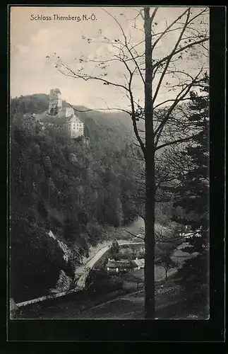 AK Thernberg, Blick zum Schloss im Wald gelegen