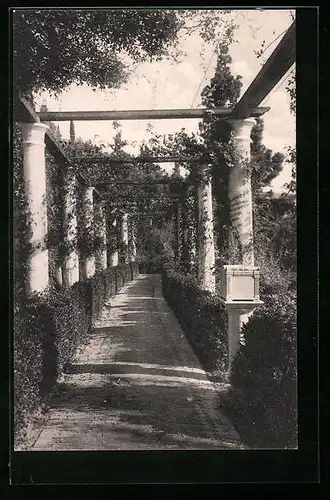 AK La Mortola, Giardino Hanbury, Pergola Veneziana