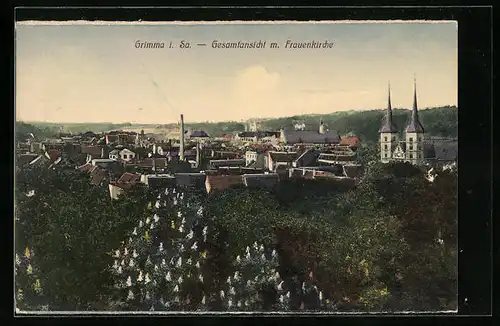 AK Grimma i. Sa., Gesamtansicht mit der Frauenkirche