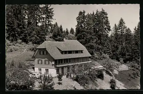 AK Dornhan im Schwarzwald, Blick auf Pension Cafe Waldesruhe