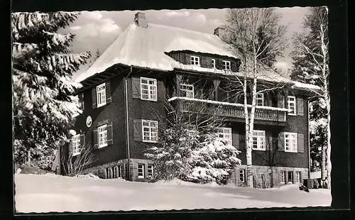 AK Baiersbronn im Schwarzwald, das eingeschneite Naturfreundehaus Kniebis