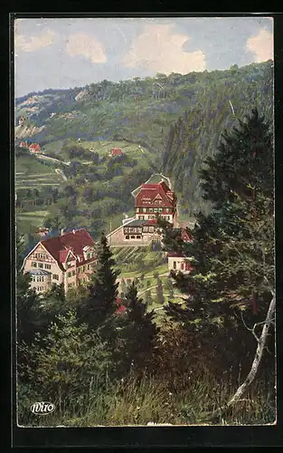 Künstler-AK Sulz a. N., Blick auf Solbad Pfisterwald und Kurhaus Albeck