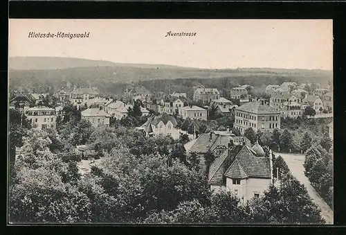 AK Dresden-Klotzsche, Teilansicht mit Auenstrasse
