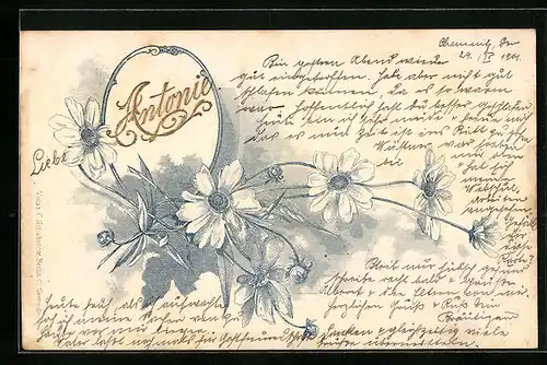 AK Namenstag von Antonie mit Margeriten