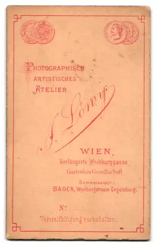 Fotografie I. Löwy, Wien, Verlängerte Weihburggasse, Junge Frau mit Turmfrisur im Rüschenkleid