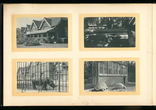 Fotoalbum mit 96 Fotografien, Ansicht London, Reisealbum englischer Familie, Crystal Palace, Big Ben, Hicks Theatre