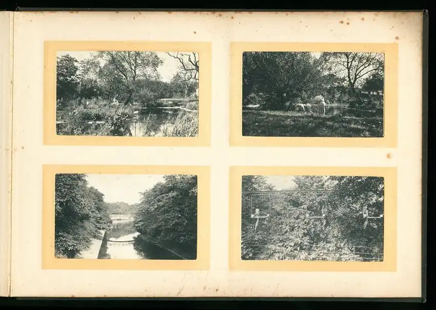 Fotoalbum mit 96 Fotografien, Ansicht London, Reisealbum englischer Familie, Crystal Palace, Big Ben, Hicks Theatre 16