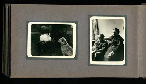 Fotoalbum mit 94 Fotografien, Reisealbum Lt. d.R. Georg F. Sieland, Hundedressur, Schiffshebewerk Dortmund, Luisentempel