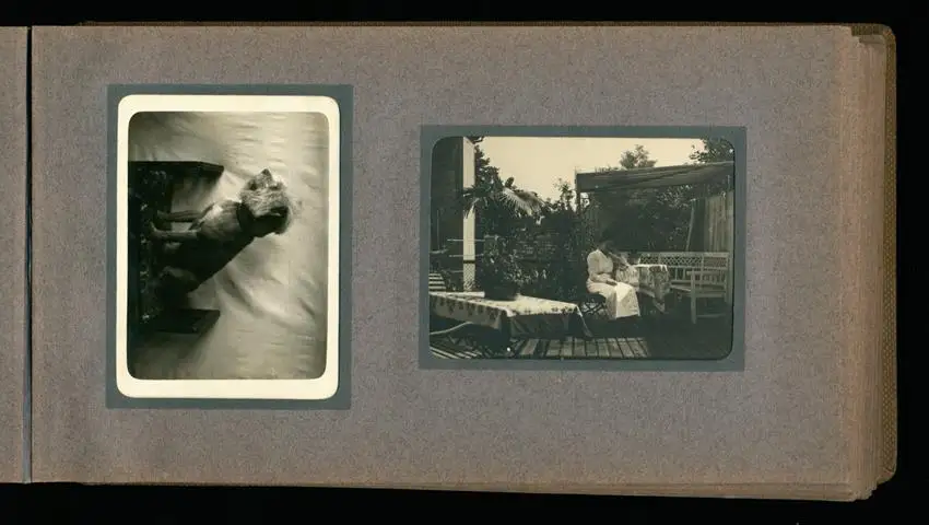 Fotoalbum mit 94 Fotografien, Reisealbum Lt. d.R. Georg F. Sieland, Hundedressur, Schiffshebewerk Dortmund, Luisentempel 17