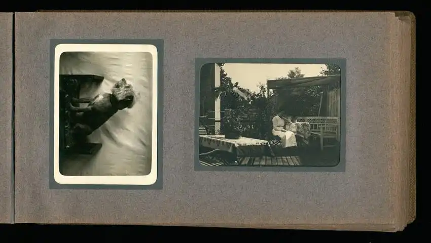 Fotoalbum mit 94 Fotografien, Reisealbum Lt. d.R. Georg F. Sieland, Hundedressur, Schiffshebewerk Dortmund, Luisentempel 17