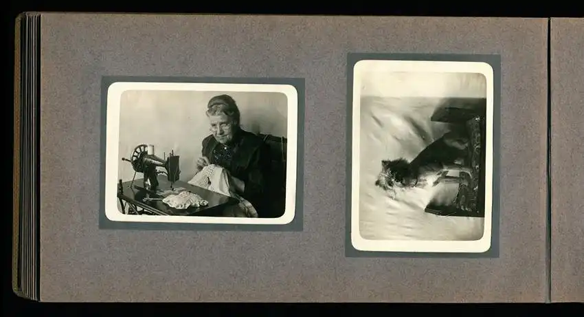 Fotoalbum mit 94 Fotografien, Reisealbum Lt. d.R. Georg F. Sieland, Hundedressur, Schiffshebewerk Dortmund, Luisentempel 18