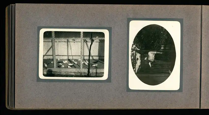 Fotoalbum mit 94 Fotografien, Reisealbum Lt. d.R. Georg F. Sieland, Hundedressur, Schiffshebewerk Dortmund, Luisentempel 20