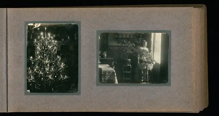 Fotoalbum mit 94 Fotografien, Reisealbum Lt. d.R. Georg F. Sieland, Hundedressur, Schiffshebewerk Dortmund, Luisentempel 23