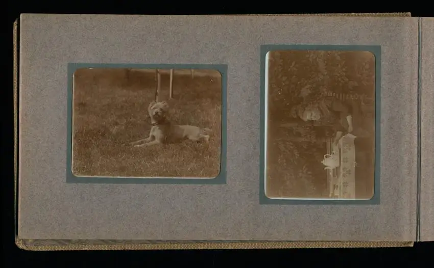 Fotoalbum mit 94 Fotografien, Reisealbum Lt. d.R. Georg F. Sieland, Hundedressur, Schiffshebewerk Dortmund, Luisentempel 42