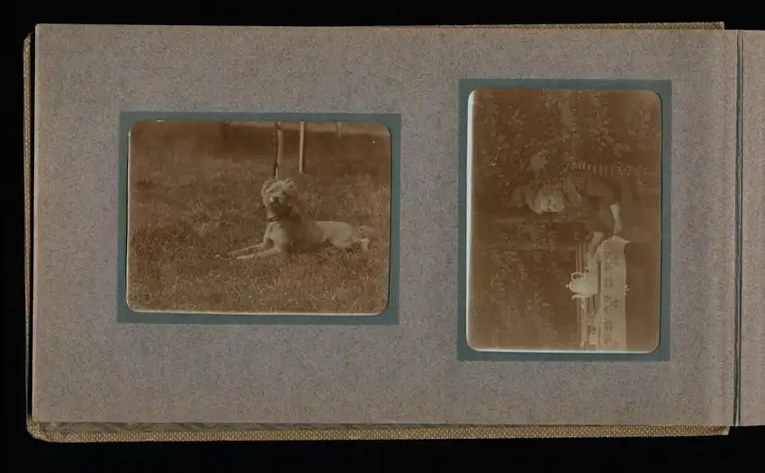 Fotoalbum mit 94 Fotografien, Reisealbum Lt. d.R. Georg F. Sieland, Hundedressur, Schiffshebewerk Dortmund, Luisentempel 42