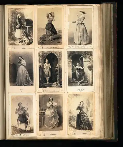 Fotoalbum mit 338 CDV Fotografien, Kunst, Frauen, Liebespaare, Statuen, Genreszenen, Tiere