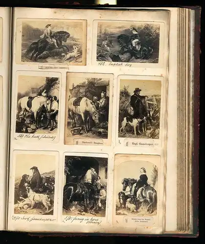 Fotoalbum mit 338 CDV Fotografien, Kunst, Frauen, Liebespaare, Statuen, Genreszenen, Tiere