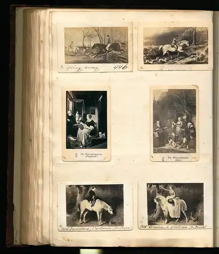 Fotoalbum mit 338 CDV Fotografien, Kunst, Frauen, Liebespaare, Statuen, Genreszenen, Tiere