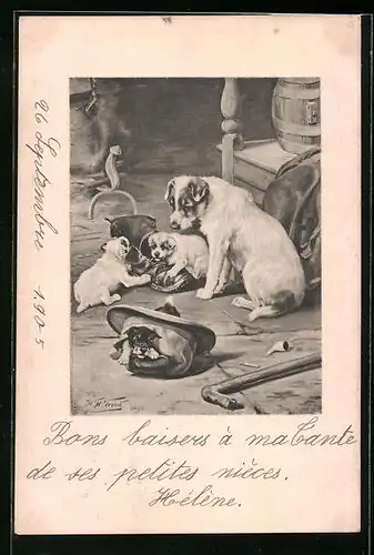 Künstler-AK M. Munk Nr. 168: Hund mit Welpen, die sich an einem Schuh und einem Hut zu schaffen machen