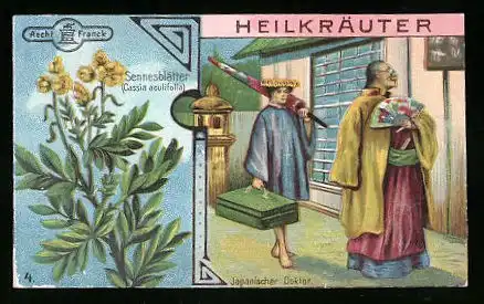 Sammelbild Aecht Franck Kaffee-Zusatz, Heilkräuter, Sennesblätter