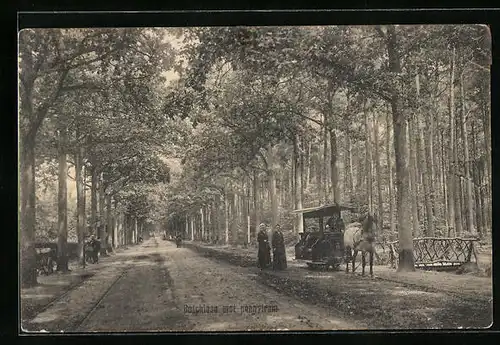 AK Boschlaan, Ponnytram, Pferdebahn