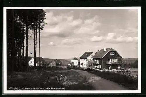 AK Wildbad /Schwarzwald, Strassenpartie auf dem Sommerberg